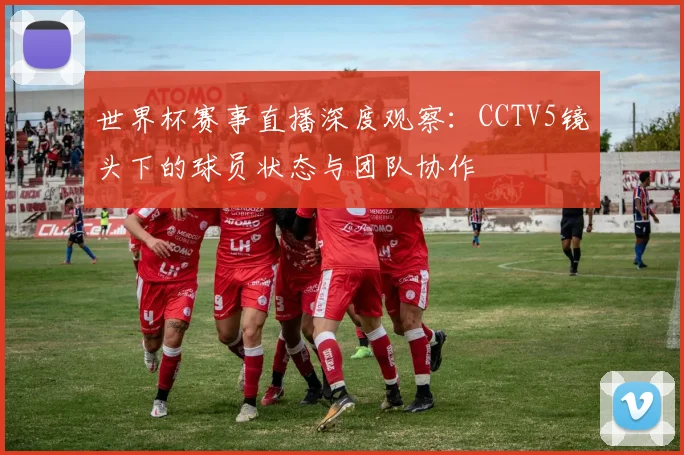 世界杯赛事直播深度观察：CCTV5镜头下的球员状态与团队协作