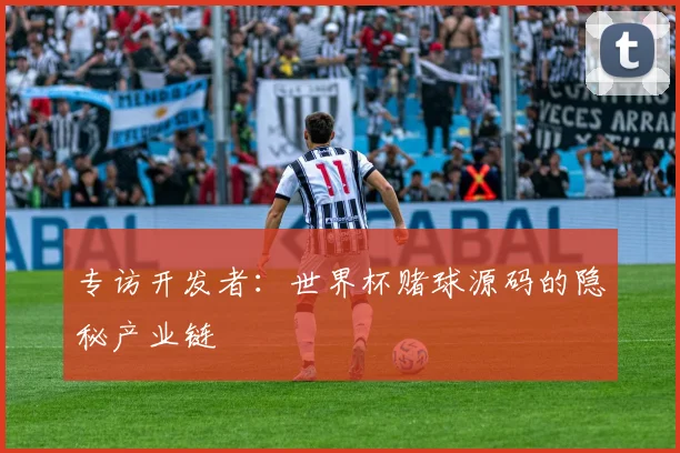专访开发者:世界杯赌球源码的隐秘产业链