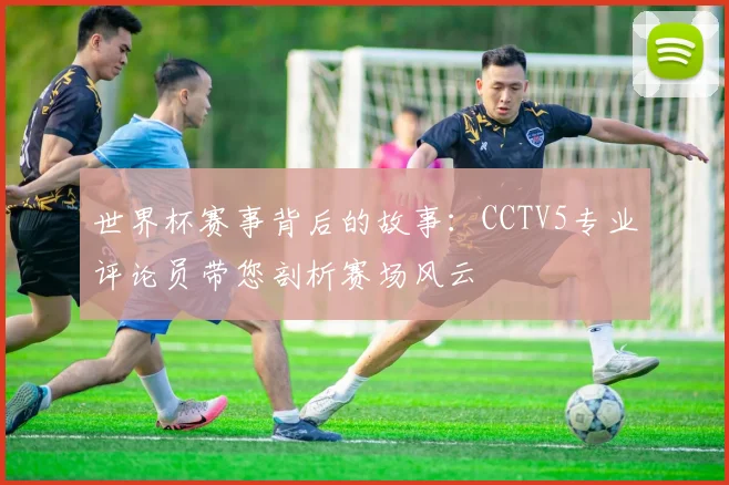 世界杯赛事背后的故事：CCTV5专业评论员带您剖析赛场风云