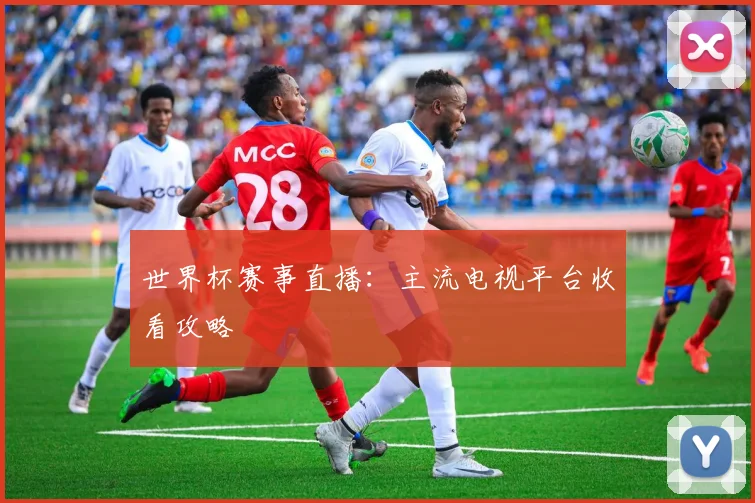 世界杯赛事直播：主流电视平台收看攻略