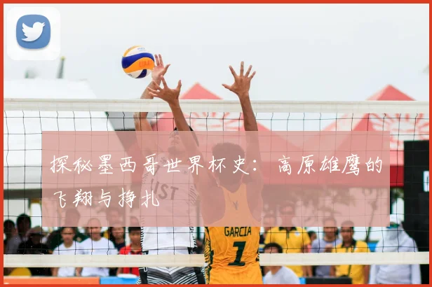 探秘墨西哥世界杯史:高原雄鹰的飞翔与挣扎