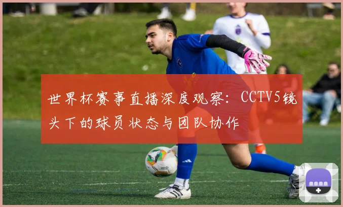 世界杯赛事直播深度观察：CCTV5镜头下的球员状态与团队协作